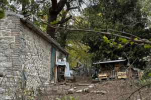 Fuck news e dintorni: la famiglia nel bosco